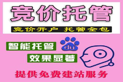 sem竞价托管代运营，助力企业腾飞的成功故事